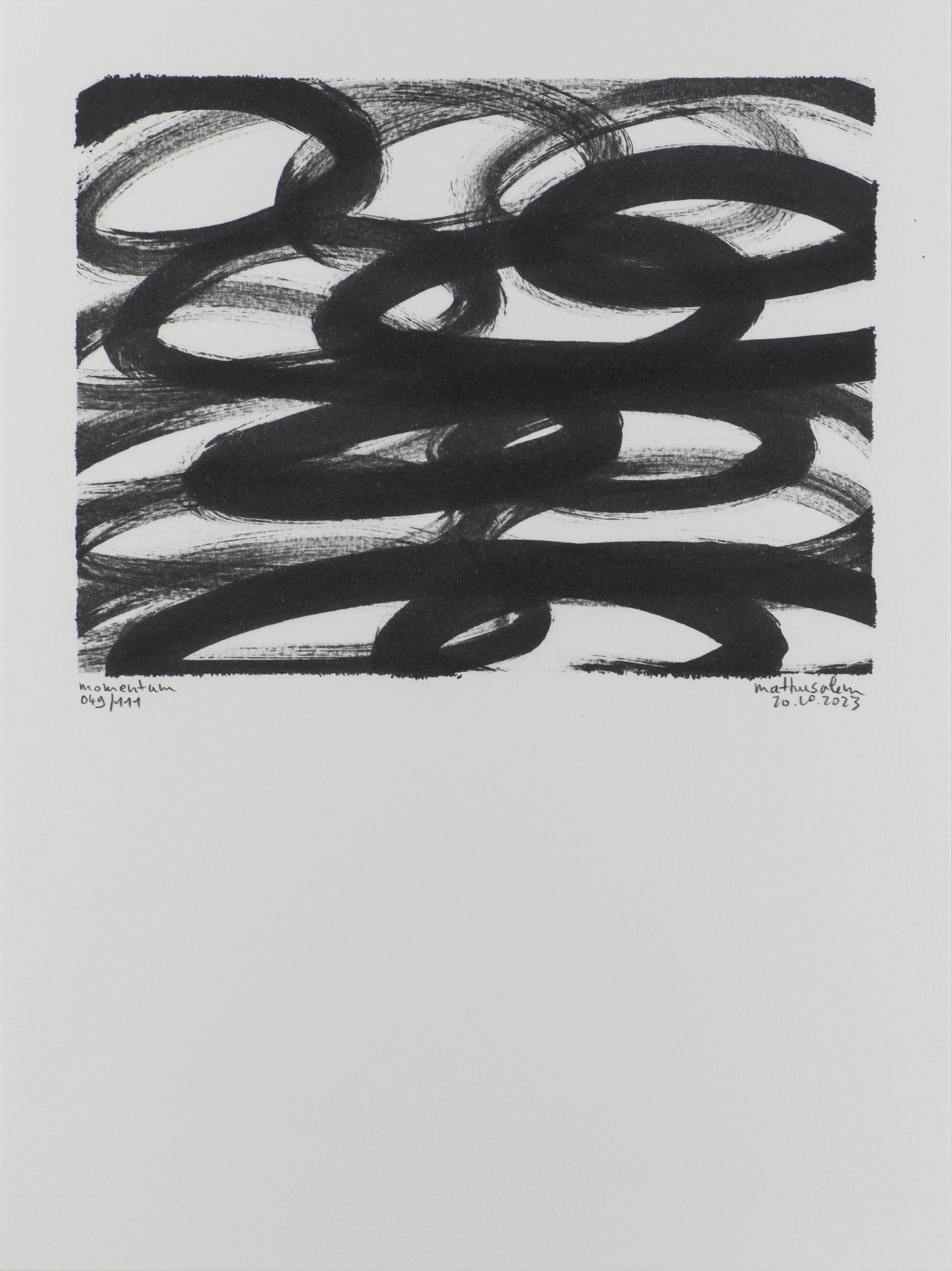 momentum 049